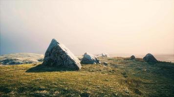 alpine meadow with rocks and green grass video