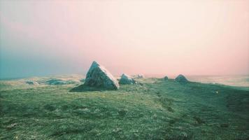 alpine meadow with rocks and green grass video