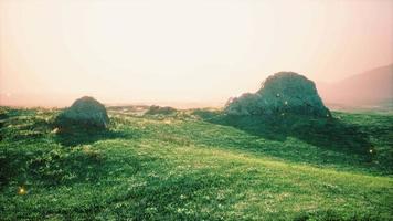 Almwiese mit Felsen und grünem Gras video