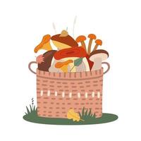 Basket of different edible mushrooms on the grass. Hand drawn colored flat vector illustration.