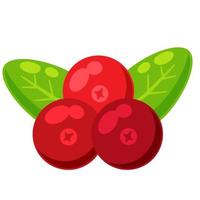 Red currant with green leaves. Cranberry berry. vector