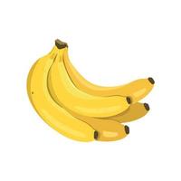 Bunch of yellow bananas. Delicious healthy exotic fruit. Vector flat food illustration