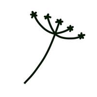 Dill in doodle style. Meadow green plant and spice. Simple natural grass vector