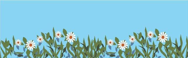 Chamomile meadow on a background of blue sky vector