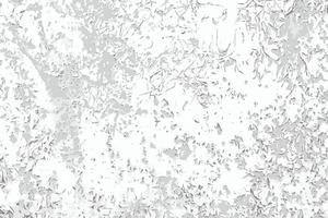 cero pintura vieja vector fondo blanco y negro