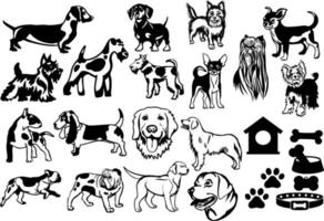 colección de perros. vector dibujado a mano perros conjunto aislado sobre fondo blanco
