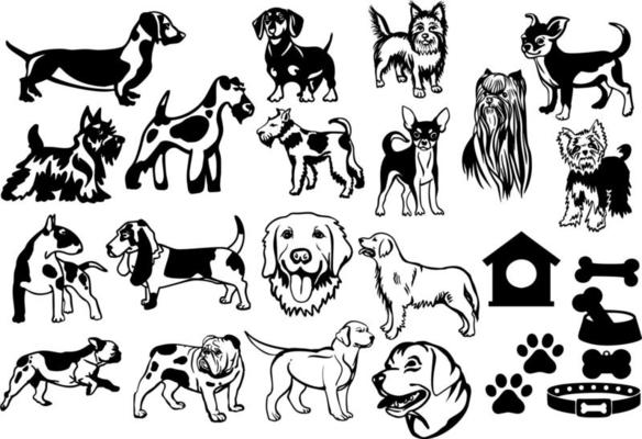 Dog collection. Vector hand drawn dogs set isolated on white background