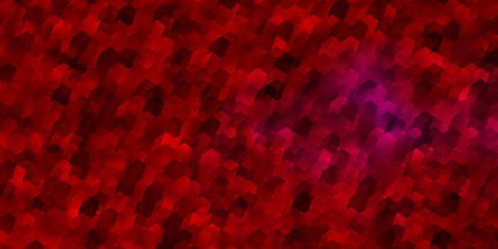 Fondo de vector multicolor claro con conjunto de hexágonos.