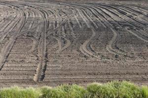 Plowed tractor field. Traces of tires on the ground. Sowing photo