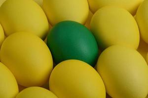 One green painted Easter egg lies between the yellow eggs. photo