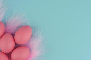 Pink Easter eggs with feathers under. Blue background. Copy space. photo