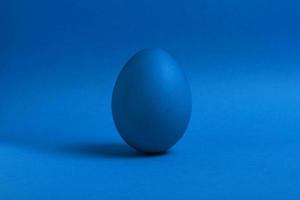 Blue egg on blue background photo