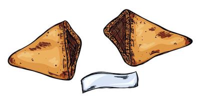 Galletas de la fortuna chinas dibujadas a mano vectorial aisladas en fondos blancos. ilustración de comida galleta crujiente con un papel en blanco dentro. vector
