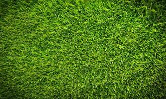 Top view Fresh green lawn For football and soccer fields or golf courses. For use to make background or wallpaper garden. Fresh green grass for a playground. 3D Rendering photo