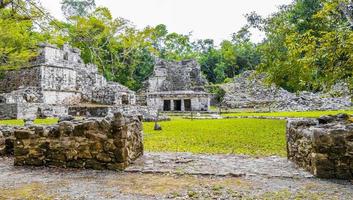 antiguo sitio maya con templo ruinas pirámides artefactos muyil mexico. foto