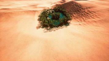 top down aerial view of oasis in desert video