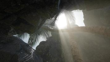 Big Palms in Stone Cave with Rays of Sunlight video