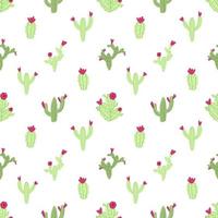 Vector seamless cactus pattern on white background. Cute childish illustration in cartoon flat style with colorful cacti and flowers
