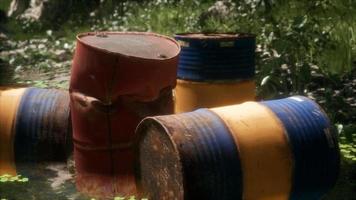 Rusty barrels in green forest video