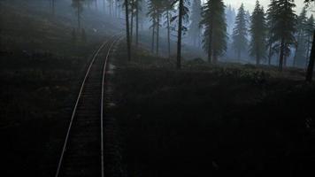 área de recreación del bosque nacional y la niebla con ferrocarril video