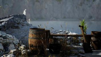 wooden barrels with sea fish at the sand beach video