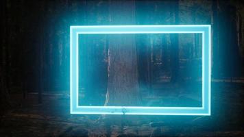 cadre rectangle lumineux au néon dans la forêt de nuit video