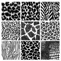 Set of seamless animal print pattern black and white vector