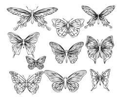 tatuaje arte mariposa dibujo a mano alzada y croquis aislado sobre fondo blanco. vector