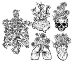 Human organs flat flower set sketch black and white