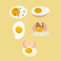 Various kinds of egg vector