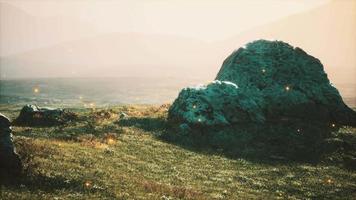 alpine meadow with rocks and green grass video