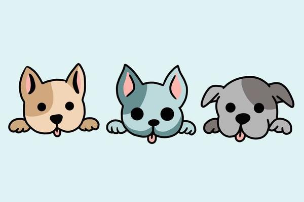 Cute Puppies :) Animated Picture Codes and Downloads #103972712,539628315