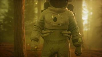 lonely Astronaut in dark forest video