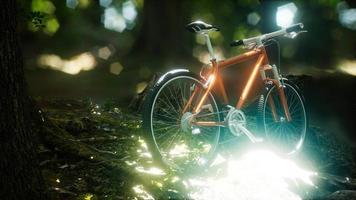 bicicleta de montanha no caminho da floresta video