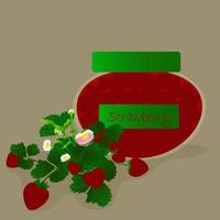 Jar of strawberry jam. vector