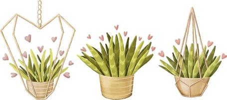 Cute pencil drawn houseplants clipart set vector