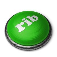 rib word on green button isolated on white photo