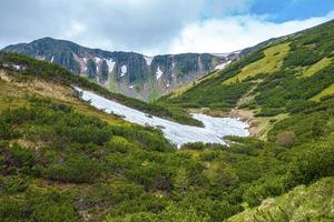 Slope covered with snow with lush of plants against mountain photo