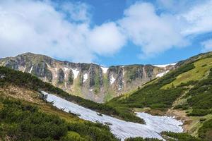 vista panorámica de la ladera de la montaña cubierta de nieve con exuberantes plantas foto
