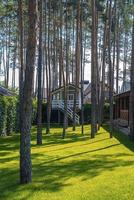 pequeña casa de juegos de madera rodeada de árboles en un patio trasero verde y soleado