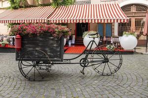 Three wheeled carriage with flower arrangement in front of cafe photo