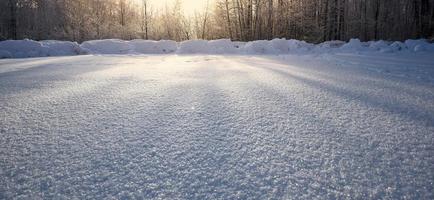 textura de nieve blanca brillando al sol contra el fondo de los árboles y el cielo. foto