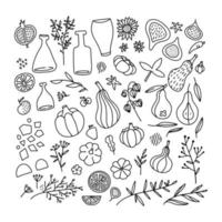 símbolos tradicionales de acción de gracias y otoño en la colección de estilo doodle. conjunto de elementos de diseño dibujados a mano para tarjetas de felicitación, invitación, plantillas de afiches - higo, calabaza, ramas, hojas, botellas. vector