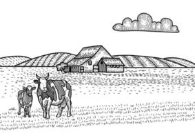 Cow and calf grazing on meadow. Farm Barn on the background. Hand drawn sketch illustration in engraving style. Countryside landscape. vector