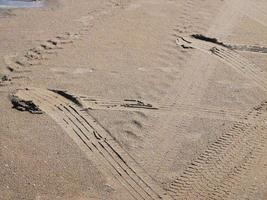 tire tracks in the sand photo