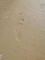 footprints in the sand photo