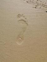 footprints in the sand photo