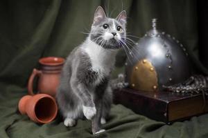 gato mestizo adulto de ojos amarillos sobre un fondo verde oscuro foto