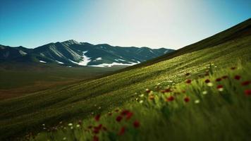 vista panorâmica da paisagem montanhosa alpina nos Alpes video