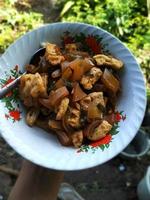 oseng cecek traditional food from Indonesia. photo
